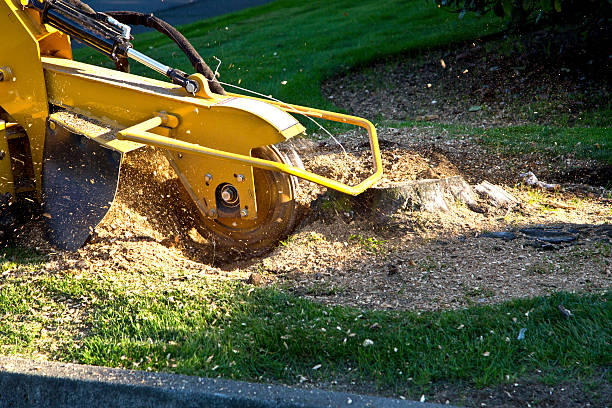 Landscape Design and Installation in Combined Locks, WI