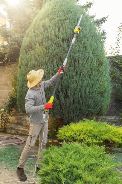 Best Storm Damage Tree Cleanup  in Combined Locks, WI